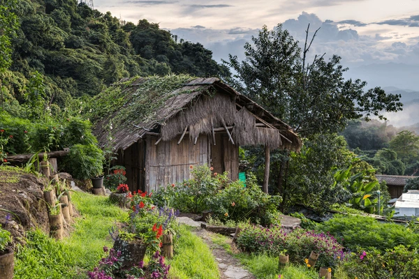 doi-pui-mong-hill-tribe-600nw-337882922